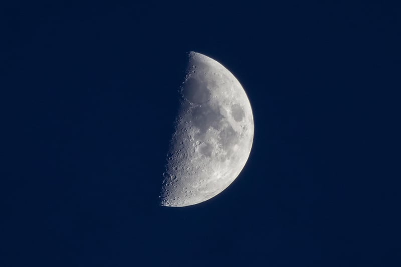 Lunar Gardens